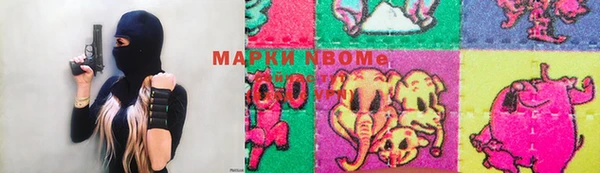 прущие грибы Каменногорск