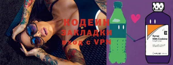прущие грибы Каменногорск