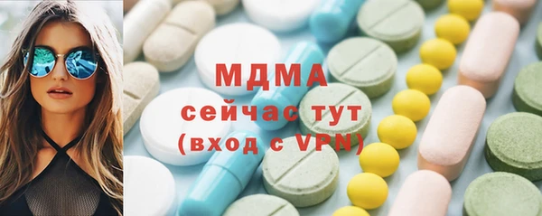 прущие грибы Каменногорск