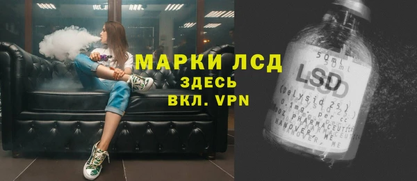 прущие грибы Каменногорск