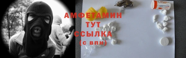 прущие грибы Каменногорск