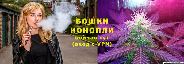 прущие грибы Каменногорск