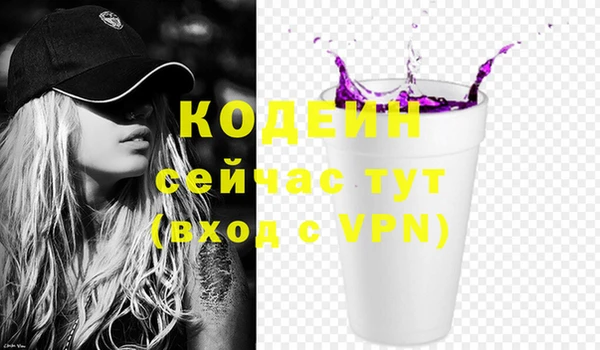 прущие грибы Каменногорск