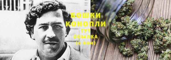гидропоника Каменск-Шахтинский