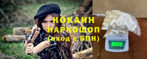 прущие грибы Каменногорск
