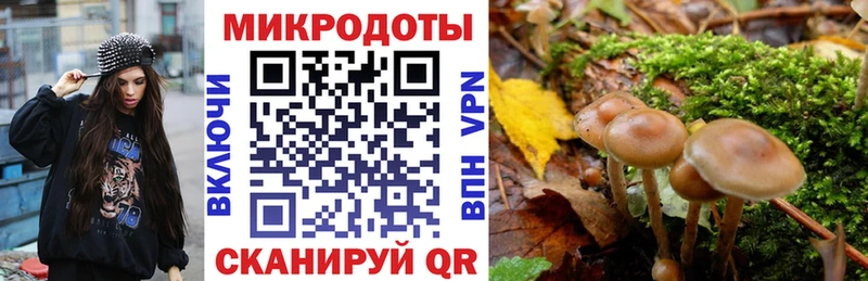 Галлюциногенные грибы Psilocybe  Купить где  Жиздра 